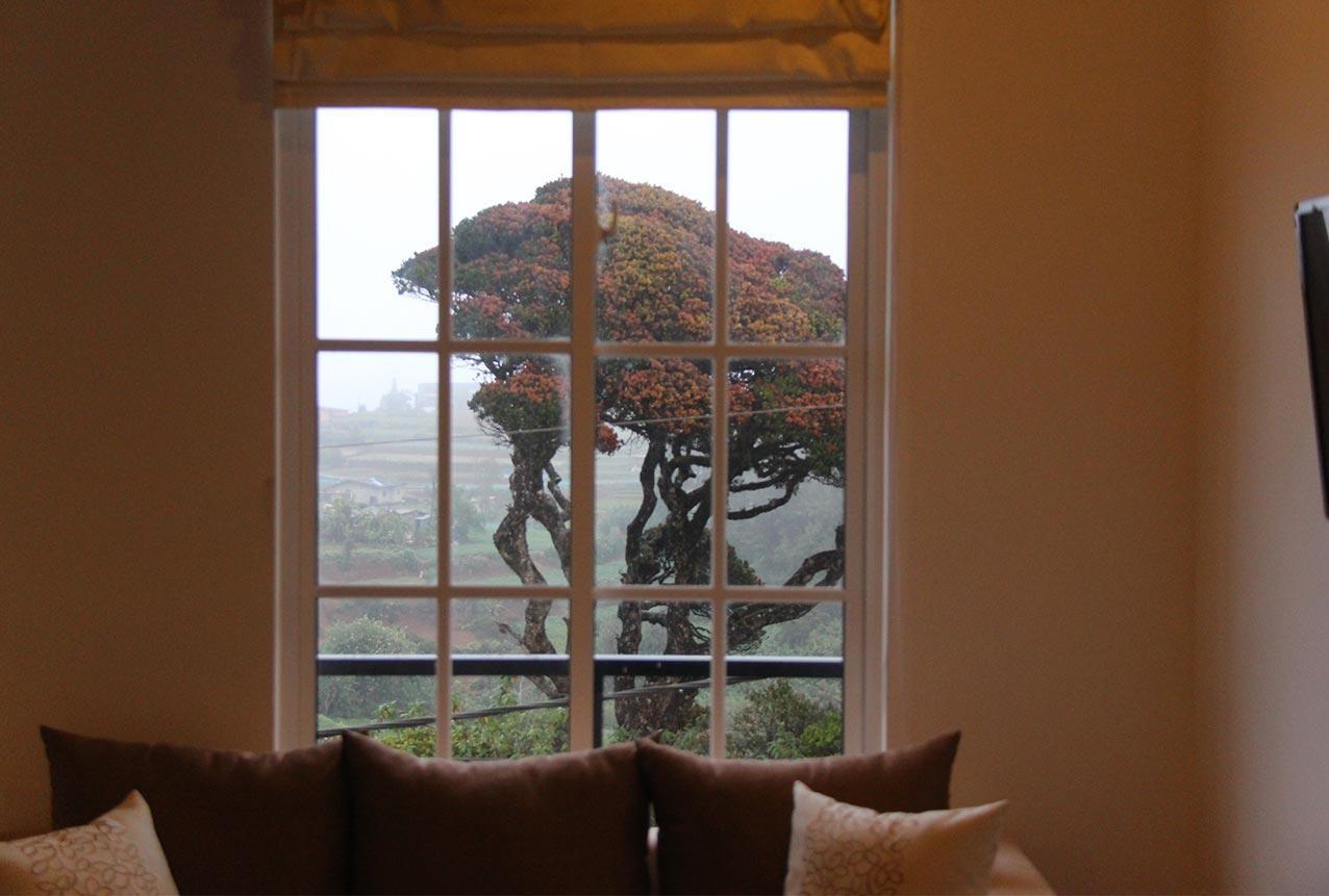 Tranquil Villa Nuwara Eliya Exteriör bild